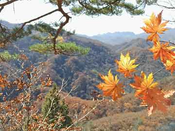 老師參加搶零食活動抱回一座零食山